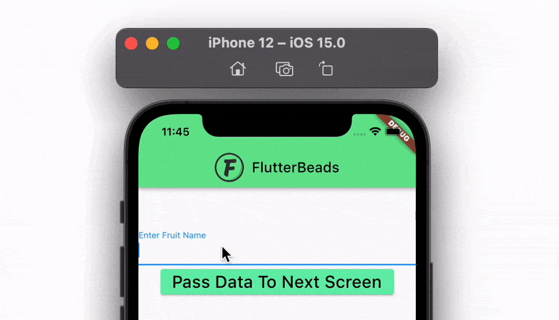 Pass Data to Stateful Widget in Flutter demo