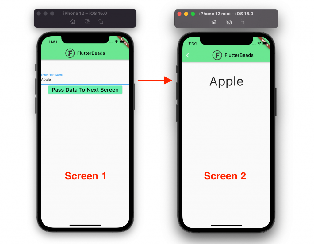 Flutter Pass Parameter to StatefulWidget