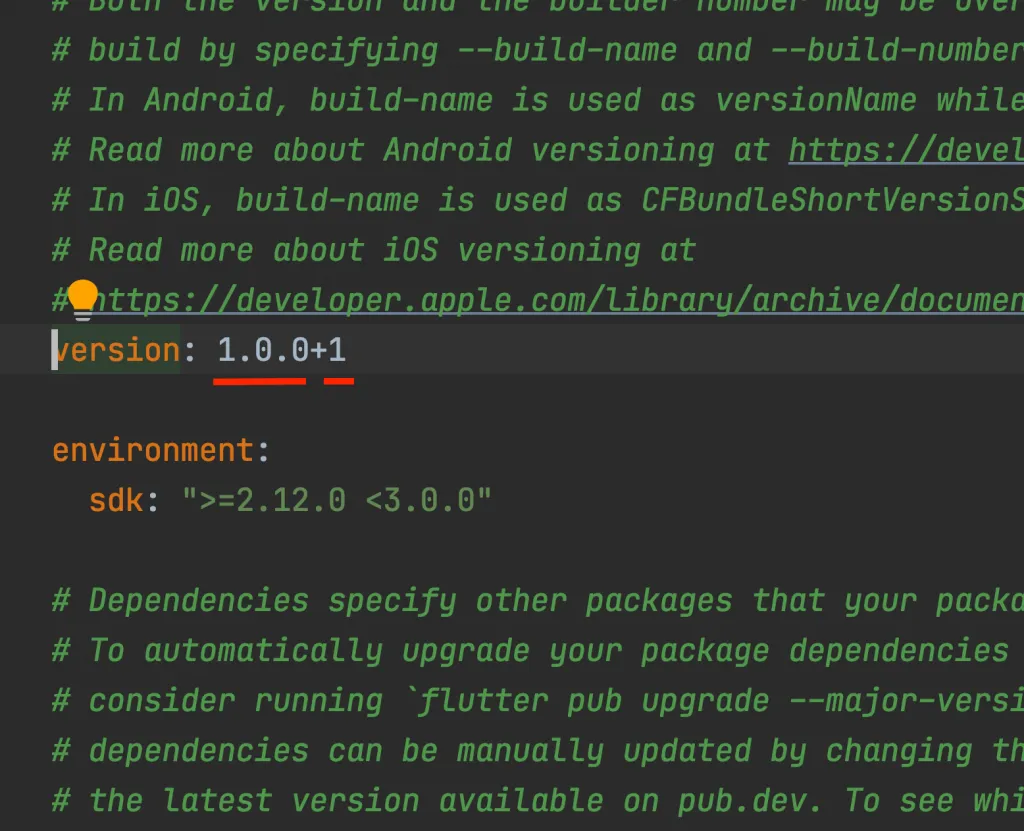 understanding app version